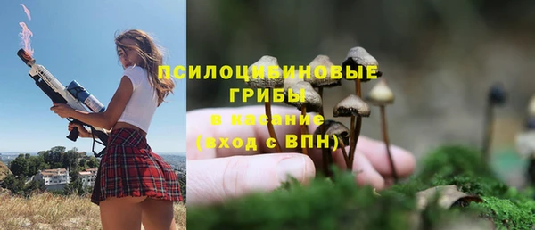 дурь Балахна