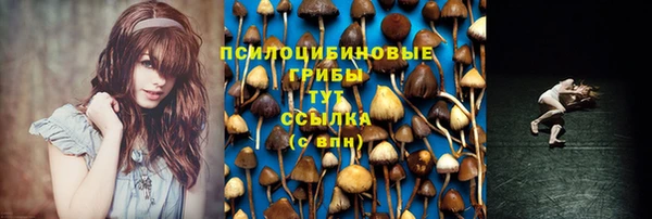 гидропоника Баксан