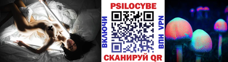 купить наркотик  блэк спрут как войти  Галлюциногенные грибы Psilocybe  Новоузенск 